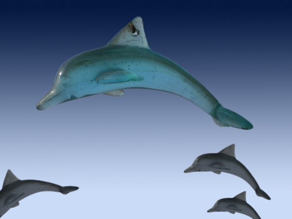 Creation of DOLPHIN: Step 2